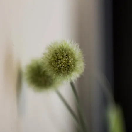 Bed & Breakfast Gstrein