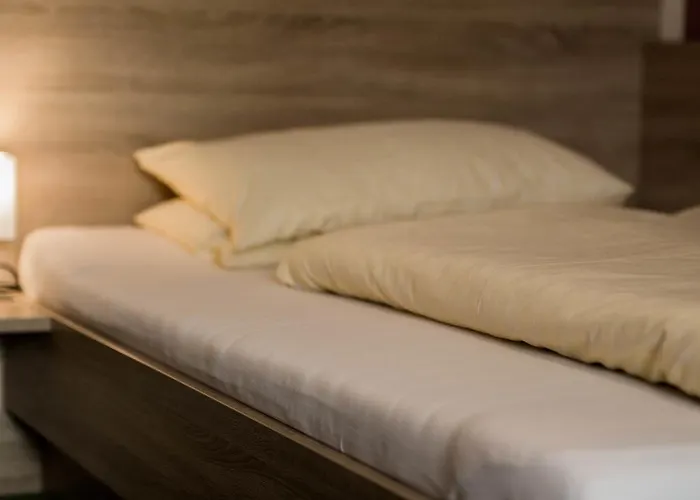 吉斯特雷恩膳食公寓 住宿加早餐酒店 3*